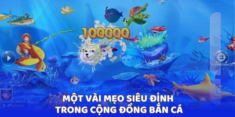 Một vài mẹo siêu đỉnh trong cộng đồng bắn cá