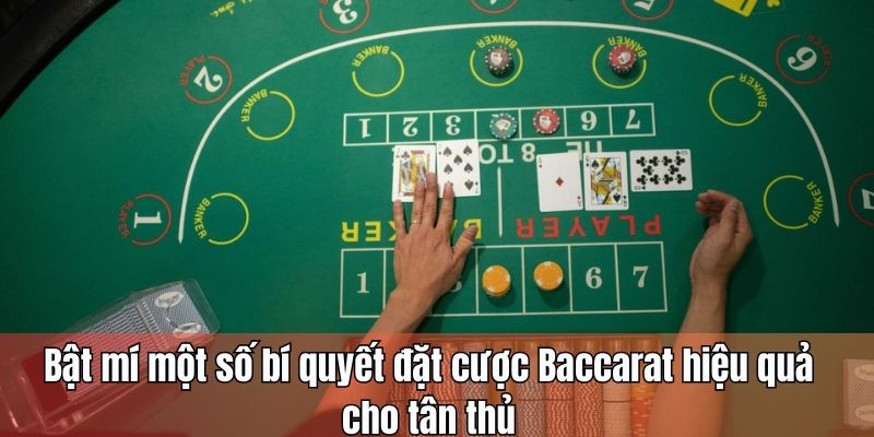 Bật mí bí quyết đặt cược game bài Baccarat Xibet hiệu quả cho tân thủ