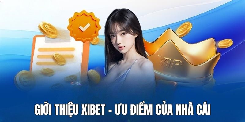 Giới thiệu Xibet về những ưu đãi nền tảng mang lại