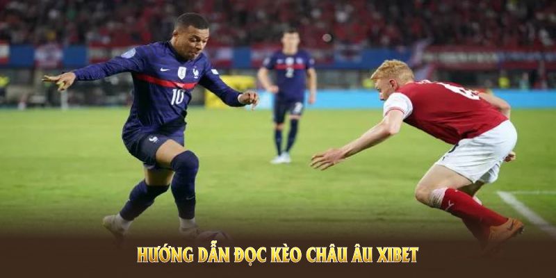 Hướng dẫn đọc kèo bóng đá châu Âu dễ hiểu cho người tham gia