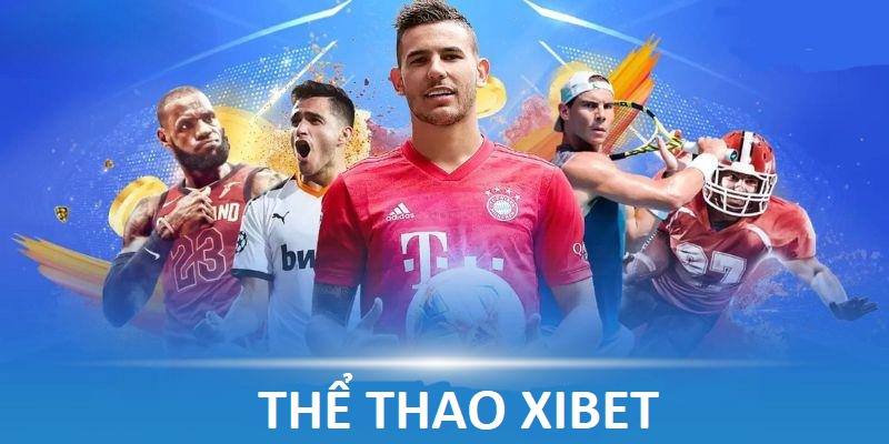 Thể thao Xibet là địa chỉ giải trí uy tín nhất thời điểm hiện nay