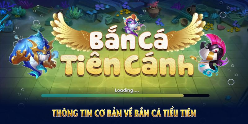 Thông tin cơ bản về bắn cá Tiểu Tiên mà bạn nên biết ngay